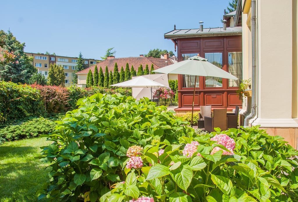 U Pana Cogito Guest house